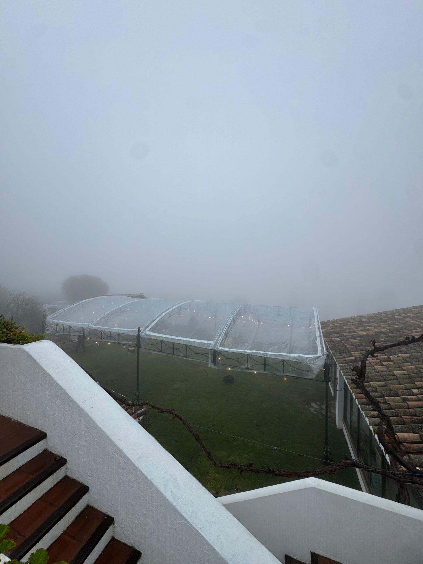 Carpas con techo transparente